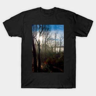 Foggy Morning T-Shirt